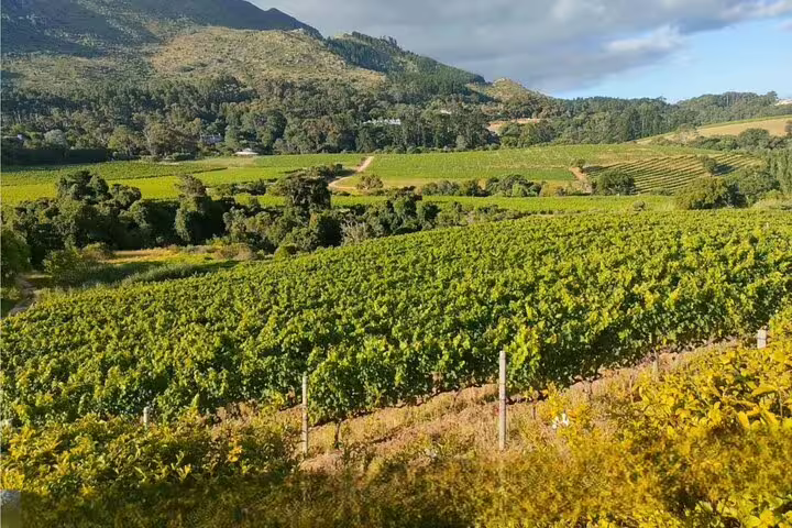 Scenic Stellenbosch vineyards and rolling mountains on a private Cape Town wine tasting tour through the Winelands