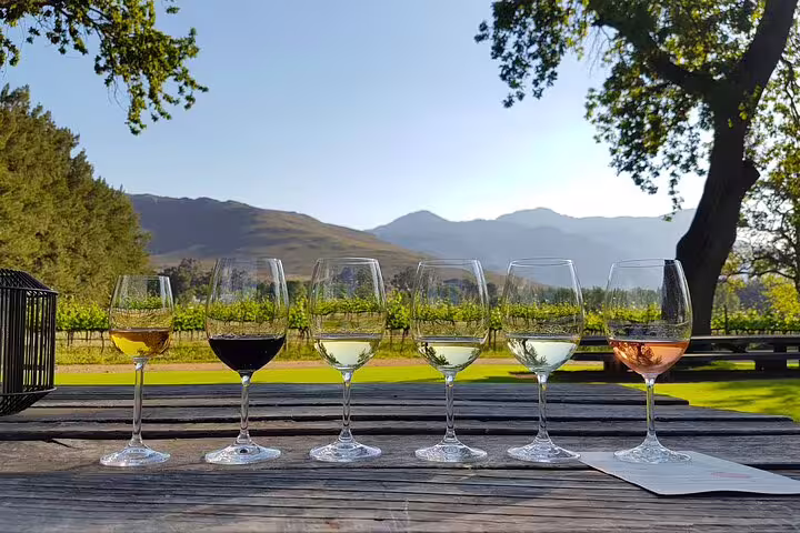 A selection of six wine glasses set on a rustic table with scenic vineyard and mountain views in Stellenbosch.