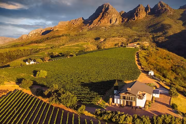 Aerial view of a vineyard estate with dramatic mountain backdrop, ideal for a Stellenbosch wine tour experience.