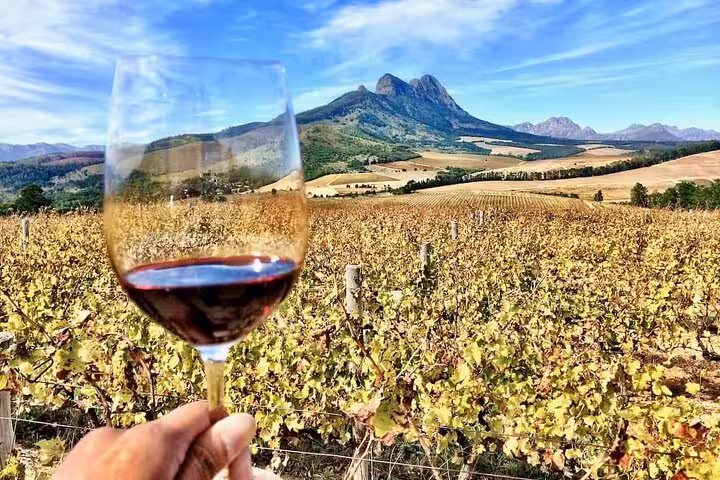 Hand holding wine glass against stunning Stellenbosch vineyard landscape with mountain views on a clear day.