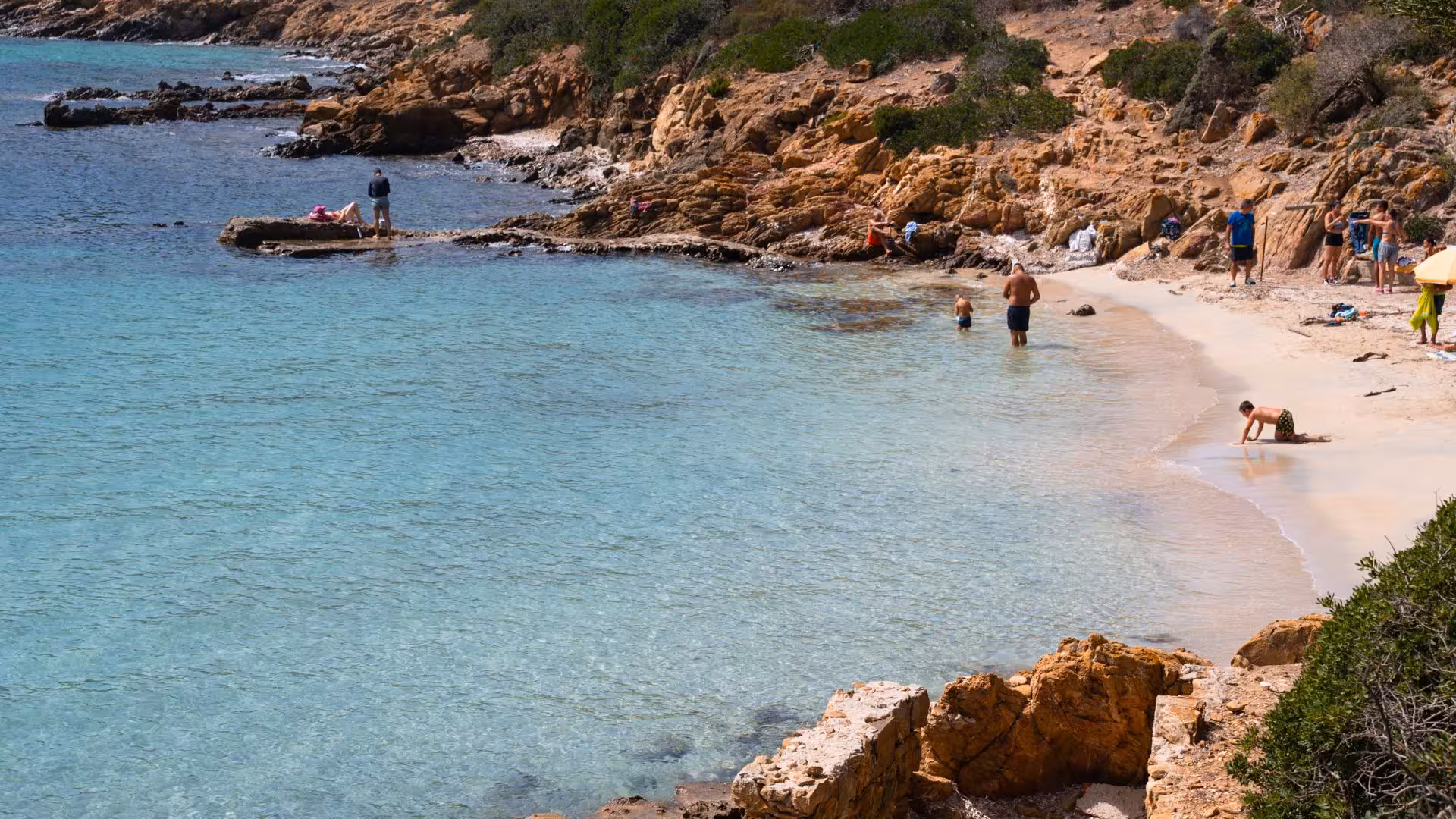 Two white minivans parked by the turquoise waters of Asinara island, highlighting the Stintino tour route.