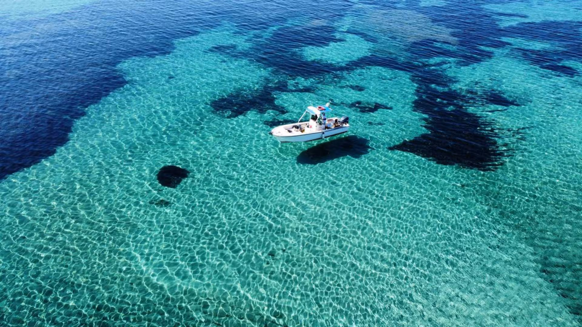 Boat floating on the serene, turquoise waters of Asinara, highlighting a picturesque Stintino excursion.