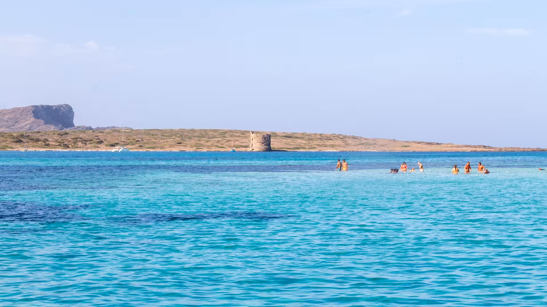 Visitors swimming in the turquoise sea with Asinara Island's historic tower visible in the distance.