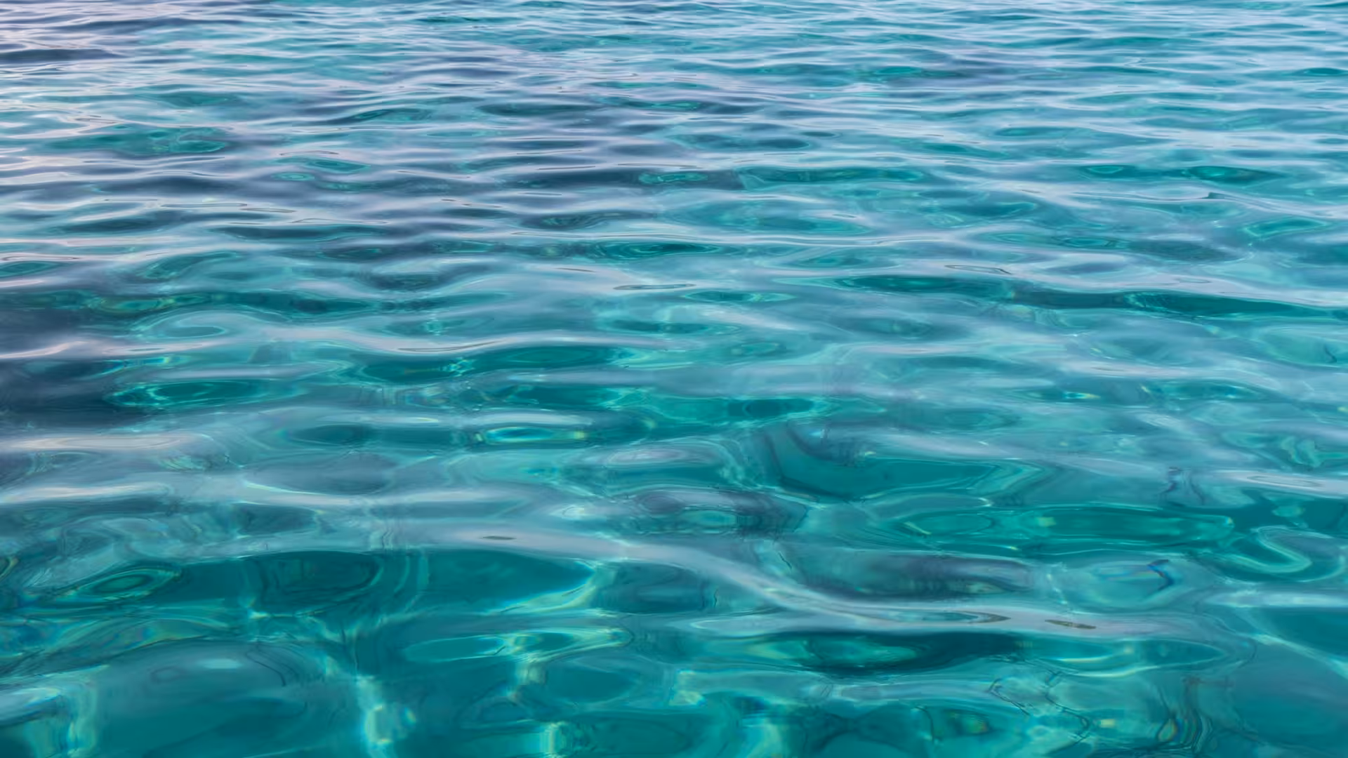 Crystal clear turquoise waters around Asinara Island on a Stintino catamaran tour, perfect for snorkeling.