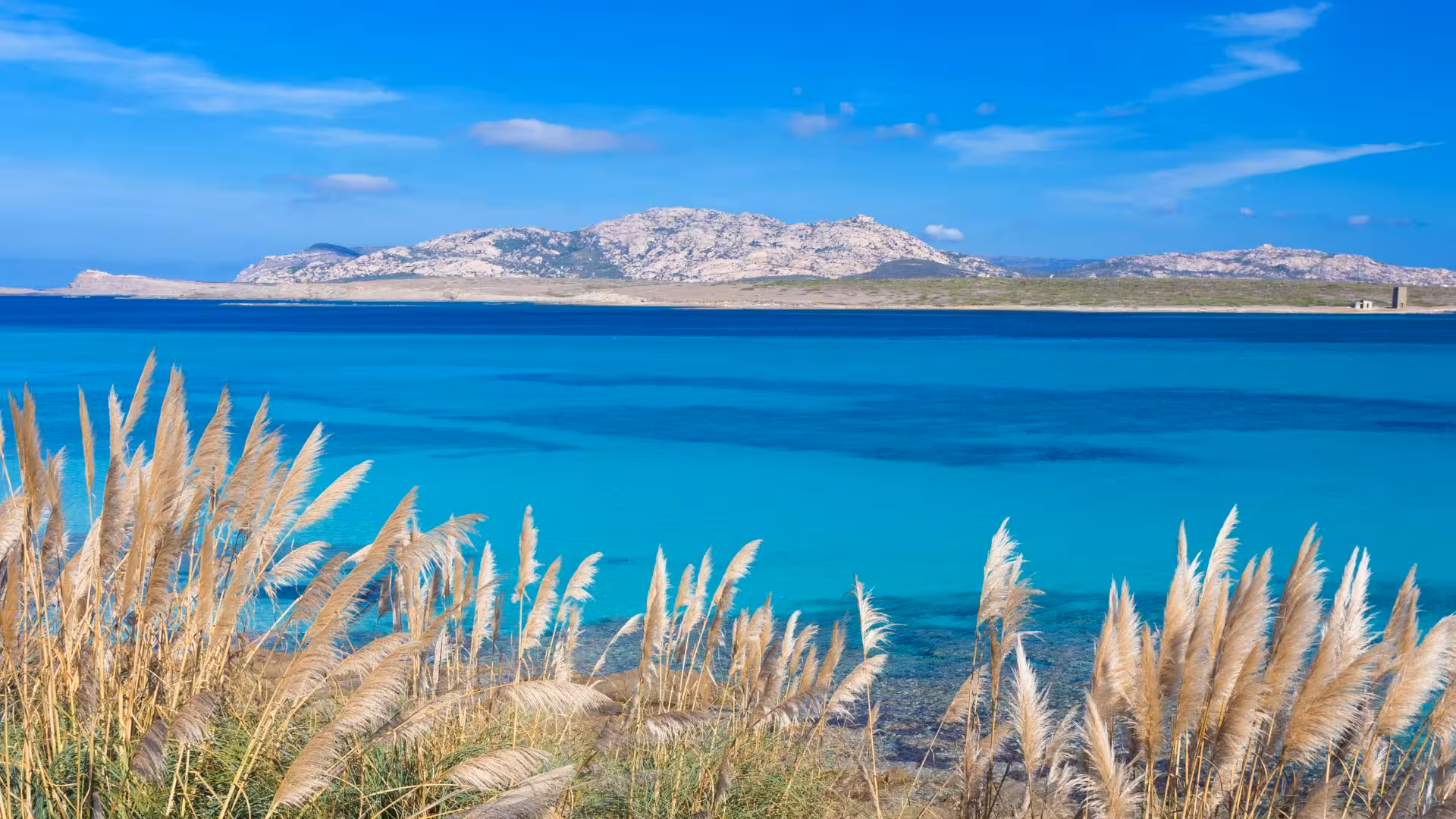 Stunning view of La Pelosa's turquoise waters and scenic coastline on a sunny day, ideal for a Stintino catamaran tour.