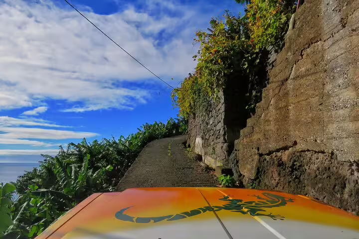 Scenic drive along a coastal road with lush greenery and stone walls on the Sunny Southwest, Rum, Banana, Waterfall, and Lighthouse tour.