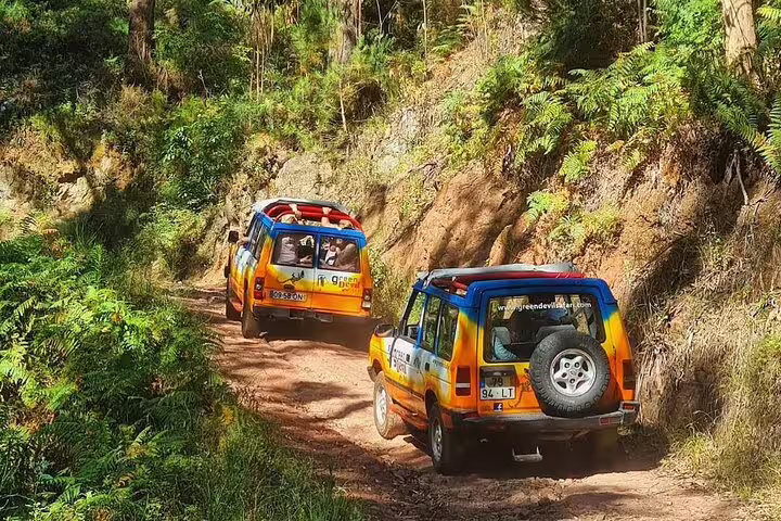 Two colorful off-road vehicles navigating a lush forest trail on the Sunny Southwest adventure tour featuring rum, banana, waterfall, and lighthouse exploration.