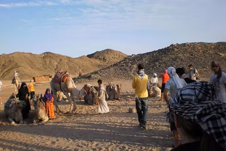 Guests meet camels in Hurghada desert during sunset 5-hour ATV buggy jeep safari to Safaga and Makadi Bay