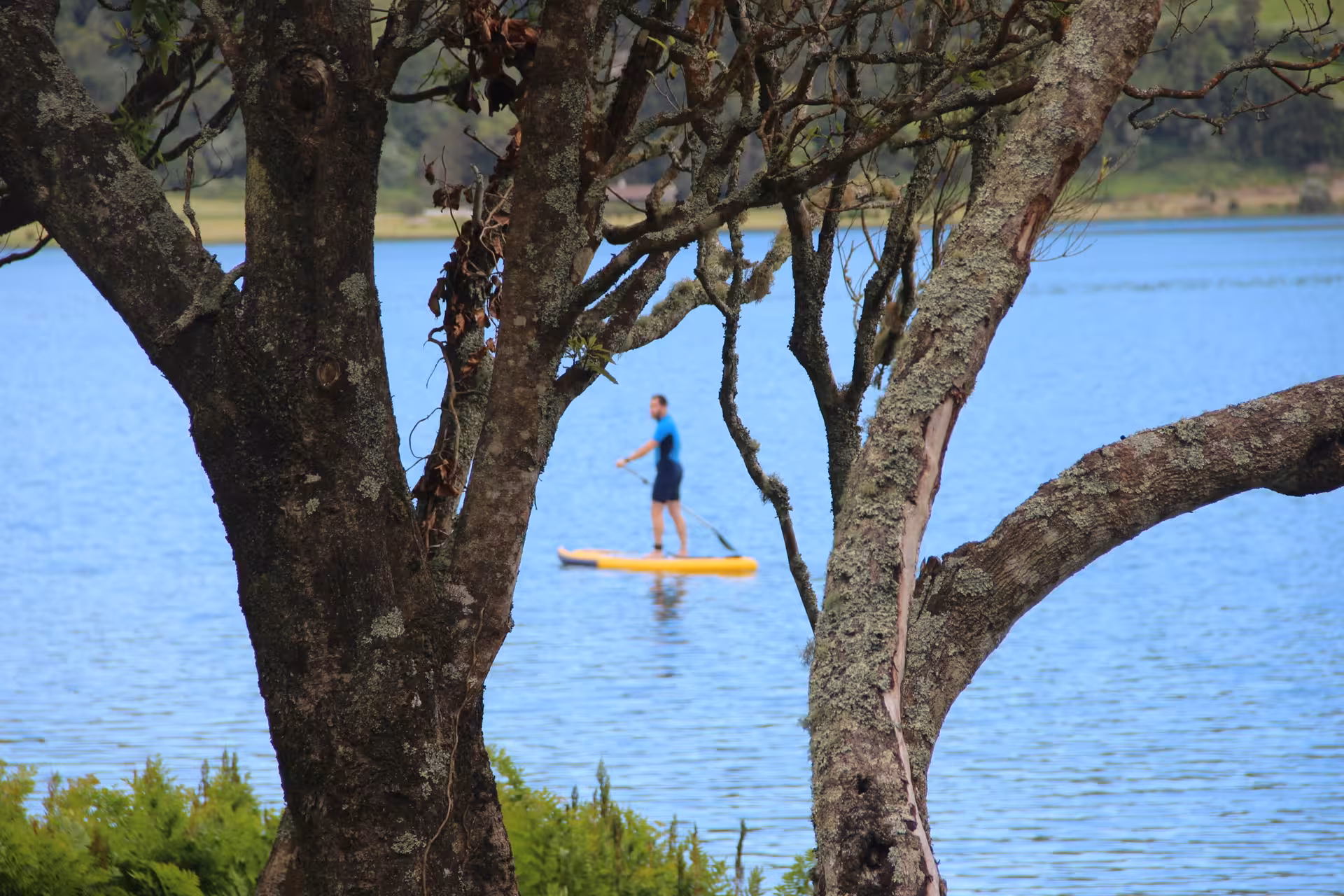 Traveler enjoys a peaceful SUP experience on a calm blue lake, paddling a yellow board framed by mossy lakeside trees.