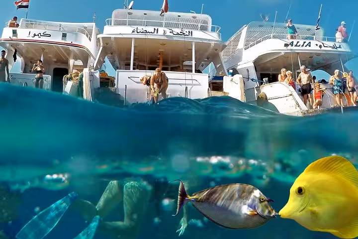 Super Giftun Island snorkeling tour with boat deck above water and colorful Red Sea reef fish below