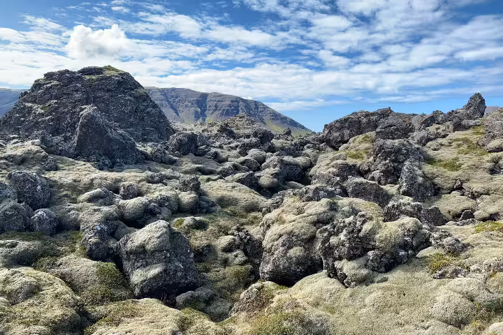 Moss-covered lava field with rugged volcanic rocks and mountains under blue sky in Iceland
