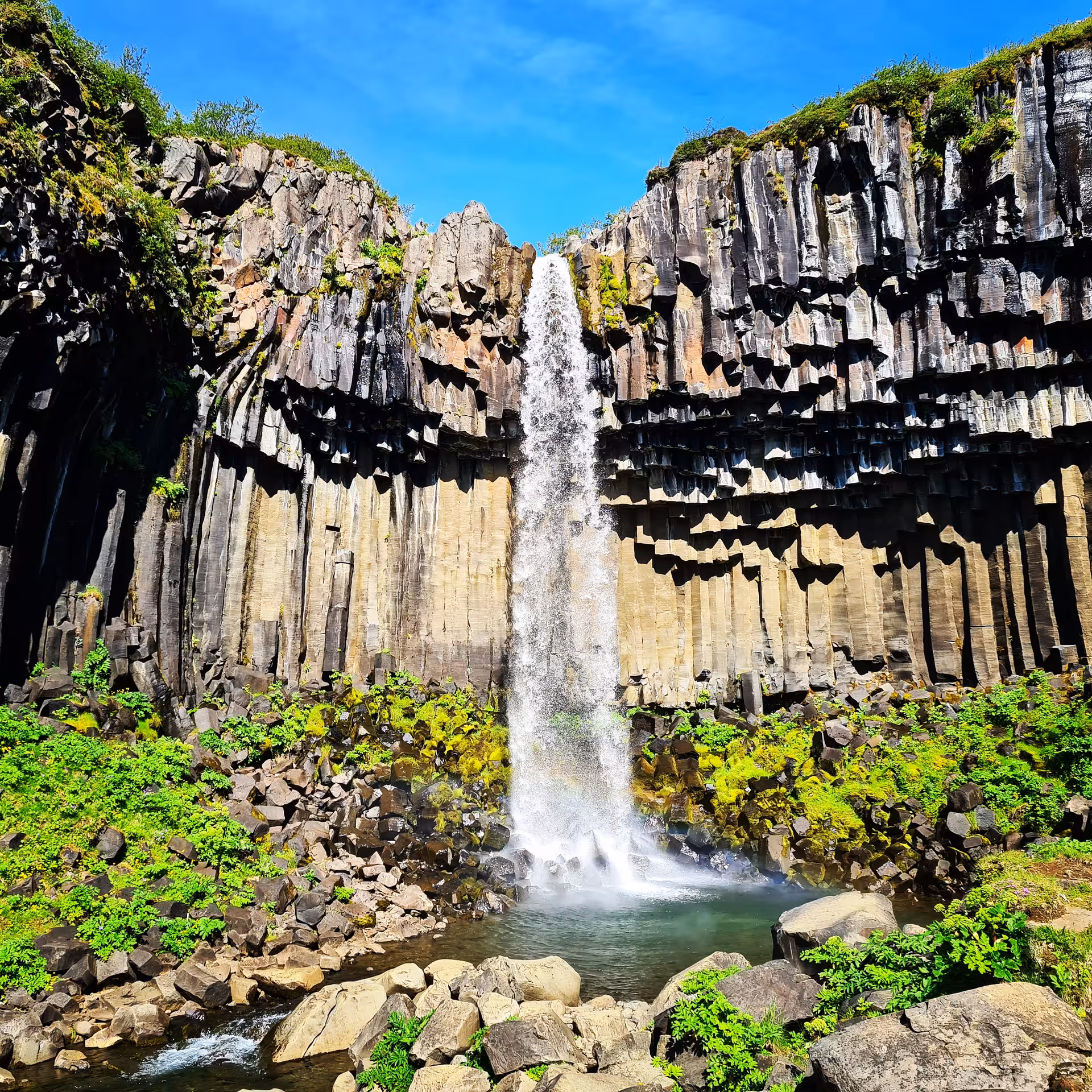 Svartifoss waterfall cascading over hexagonal basalt columns surrounded by green vegetation in Iceland