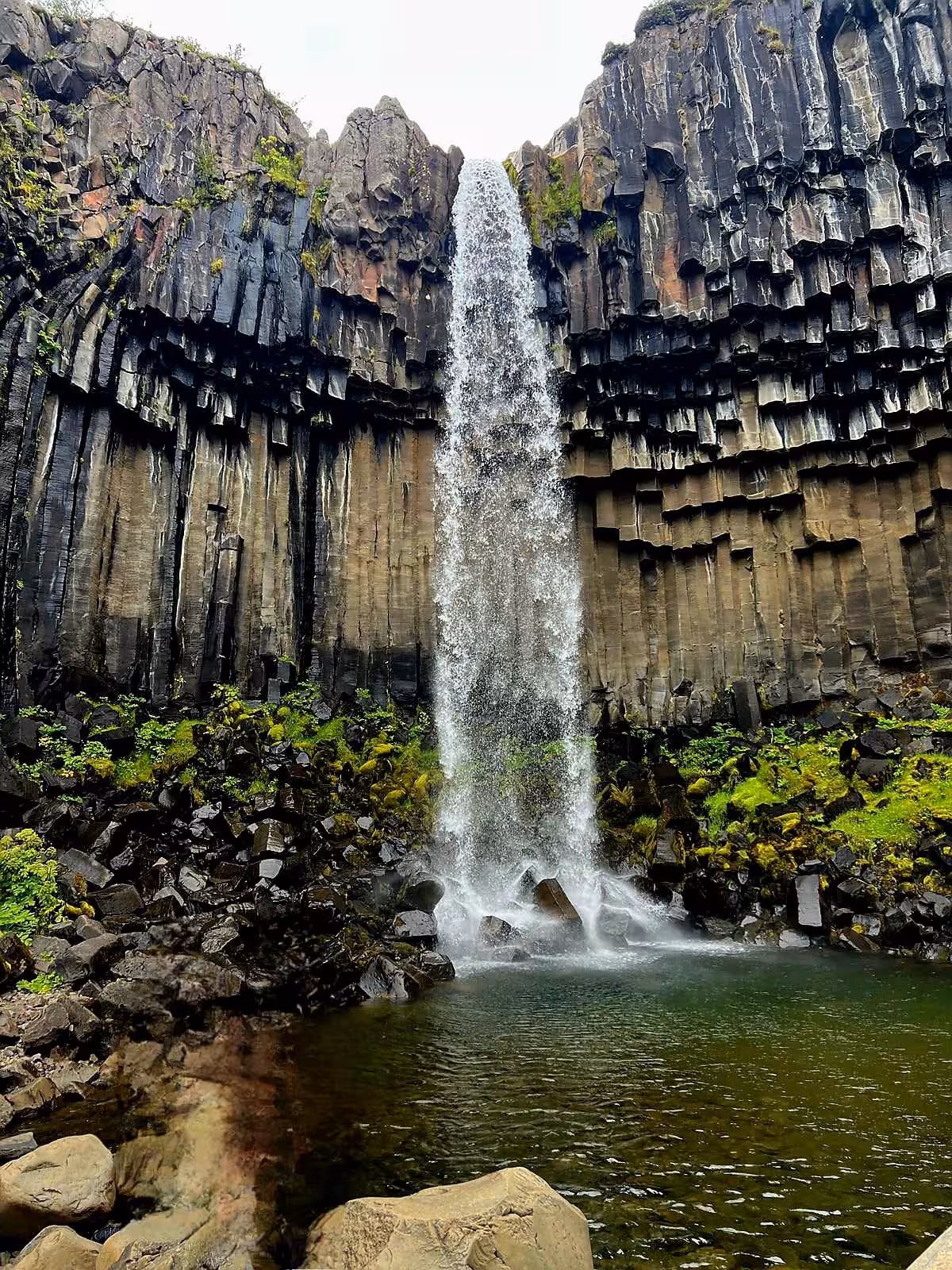 Svartifoss waterfall cascading over black basalt columns into a green pool in Iceland