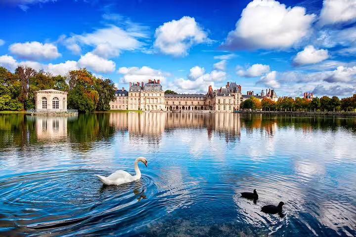 Swan on the lake with Château de Fontainebleau in the background, private day tour from Paris, France