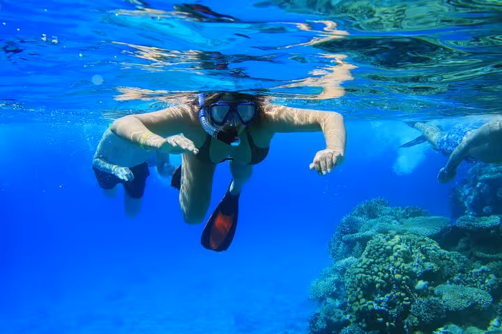 Snorkeling in Hurghada at Dolphin House reef, Red Sea swim with dolphins trip with lunch on boat