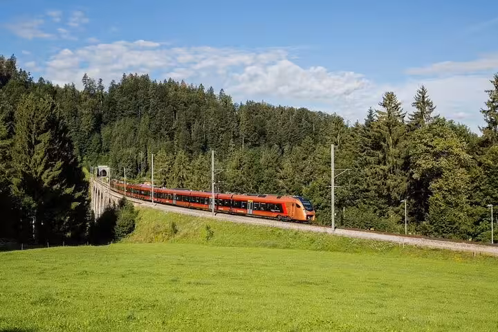 Swiss train journeying through dense forest landscapes, part of the ultimate scenic express tour.