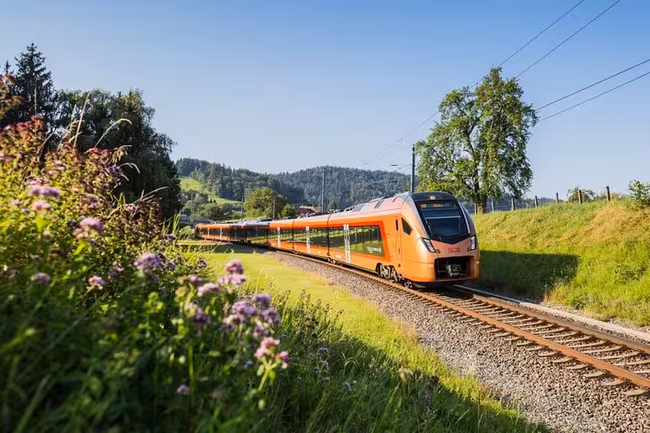 Bright orange Swiss train travels through lush green countryside on a sunny day, perfect for train enthusiasts.