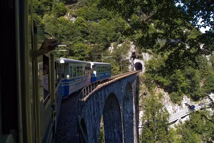 Train crossing an iconic stone viaduct amidst dense forests on the Hard Core Tour for Swiss train enthusiasts.