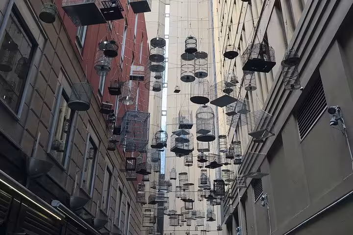 Dozens of empty bird cages hanging between buildings in a narrow Sydney alleyway