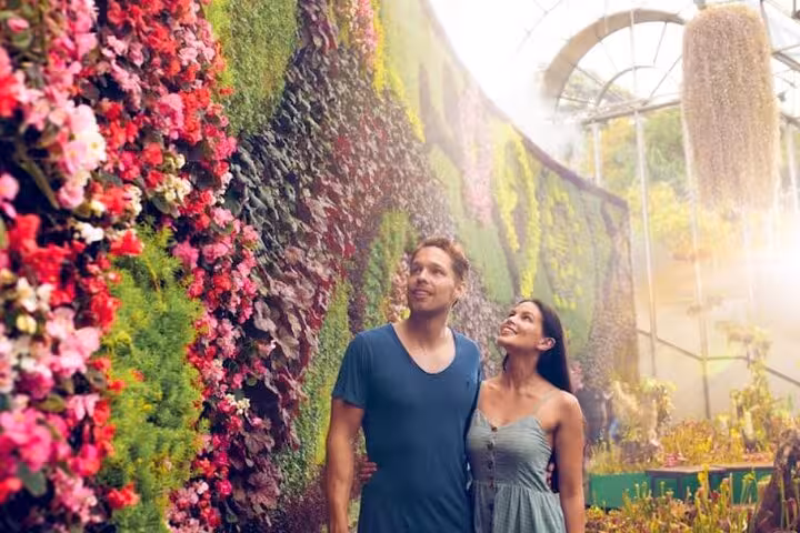 Explore Sydney's hidden gems with a vibrant botanical garden tour showcasing lush vertical flower displays.