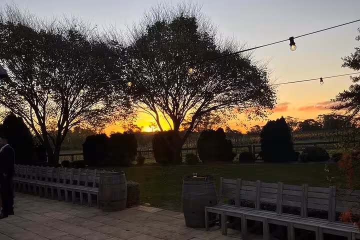 Scenic sunset view over vineyards in Southern Highlands with silhouetted trees and string lights.