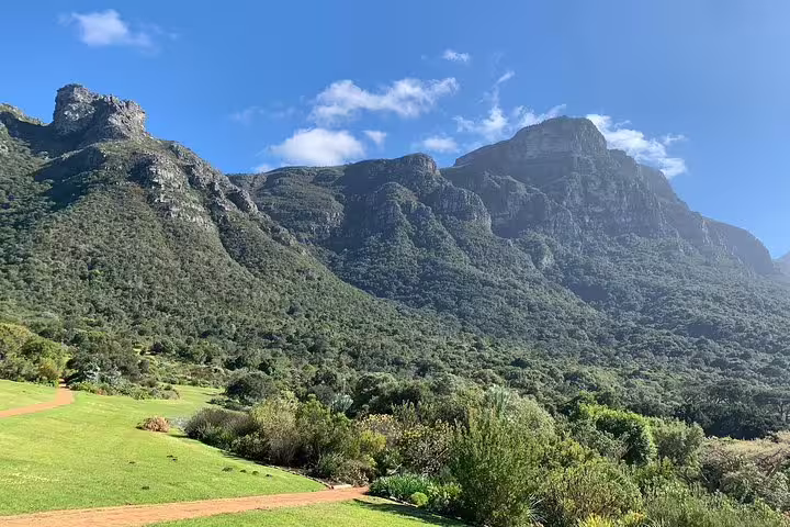 Scenic view of Table Mountain's lush green slopes under a clear blue sky in Cape Town, perfect for nature hikes.