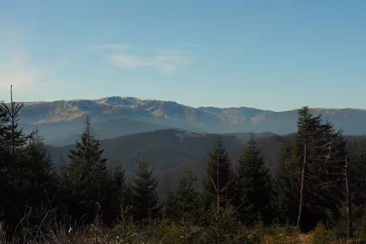 Snow-capped Taga Mountains with evergreen forests and blue sky near Brasov, Romania