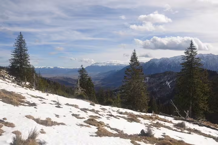 Snow-covered mountain slope with pine trees overlooking Brasov valley and Taga Mountains peaks