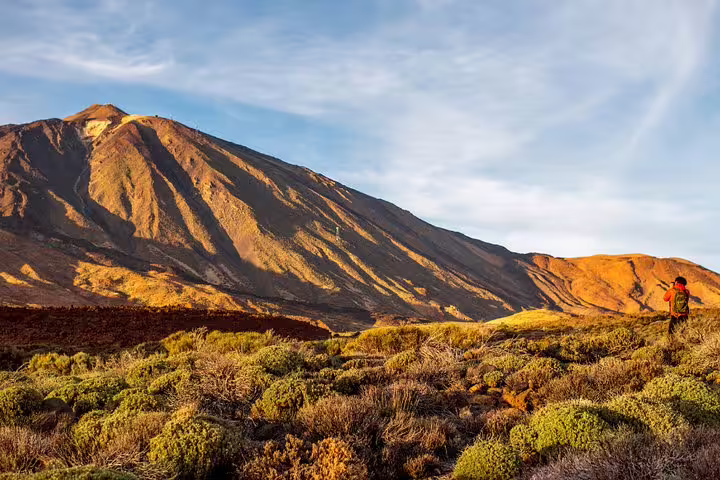 Hiker enjoying a sunny day at Teide National Park with volcanic landscape and lush vegetation.