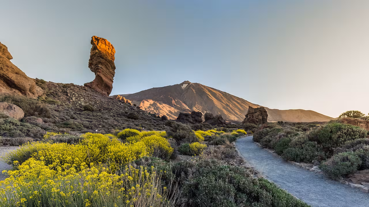 Scenic view of Teide National Park with the iconic Roque Cinchado rock formation and lush greenery under a clear sky.