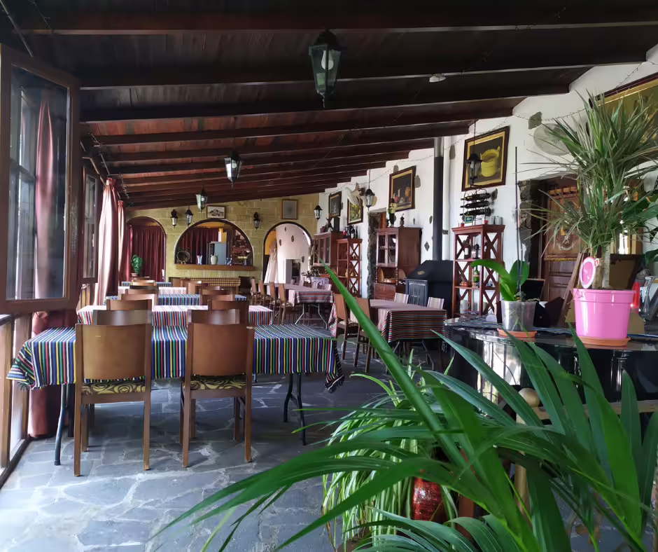 Charming vineyard dining area with colorful tablecloths, offering a cozy setting for the Teide wine tasting tour.