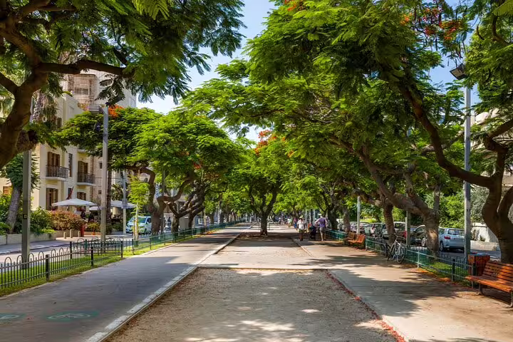 Tree-lined pedestrian boulevard in Tel Aviv with lush green canopy and benches on sunny day