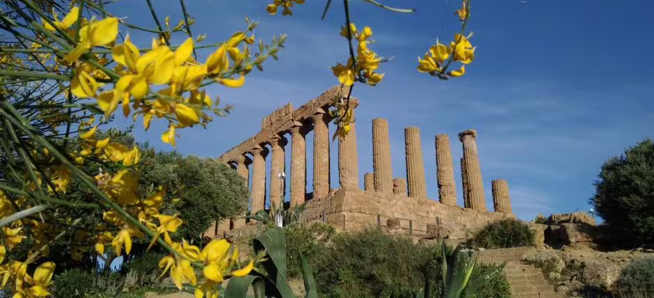 Temple ruins framed by yellow flowers at Agrigento Valley of the Temples on Taormina to Palermo transfer