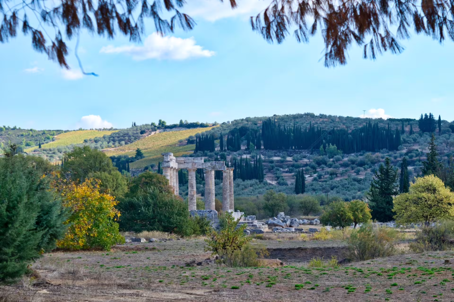 Temple of Zeus ruins in Ancient Nemea with hills and vineyards, visited on a private wine tour from Athens