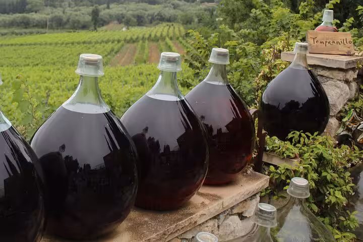 Large glass demijohns filled with Tempranillo red wine beside lush vineyard rows in the countryside