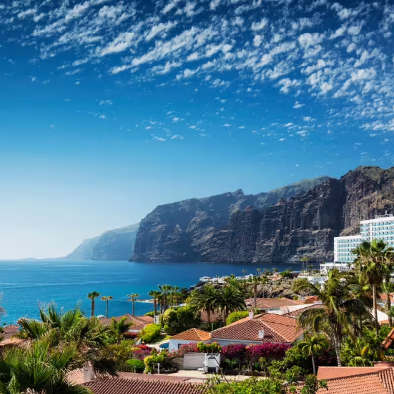 Stunning coastal view with cliffs and oceanfront village in Tenerife, perfect for private cruise excursions.