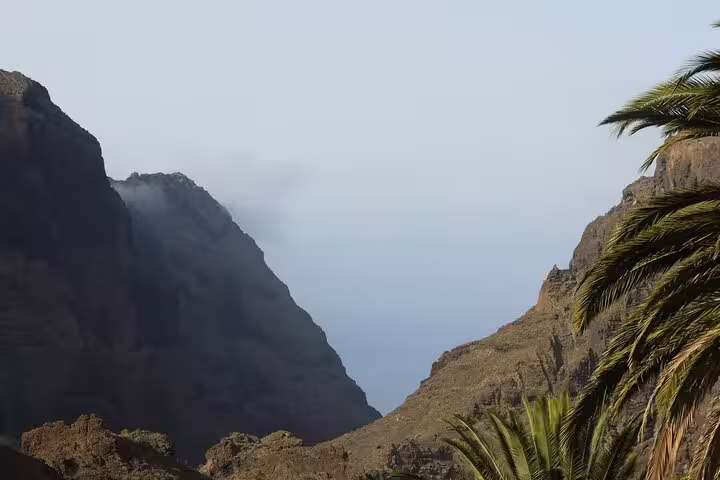 Stunning Tenerife gorge with rugged cliffs and serene sea view, highlighted by lush palm trees under a misty sky.