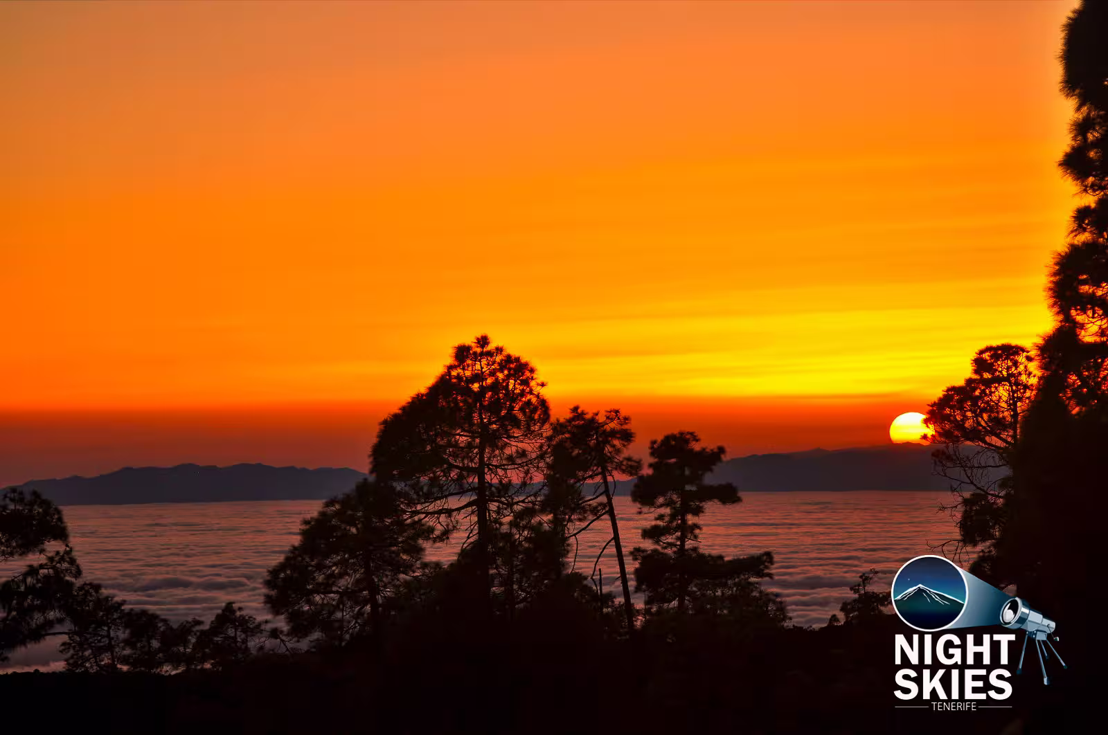 Breathtaking Tenerife sunset with vibrant orange hues, silhouetted trees, and serene clouds for a perfect stargazing tour.