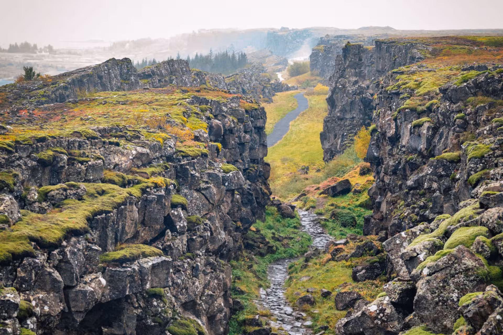 Moss-covered lava rock canyon with walking path at Þingvellir National Park, Iceland
