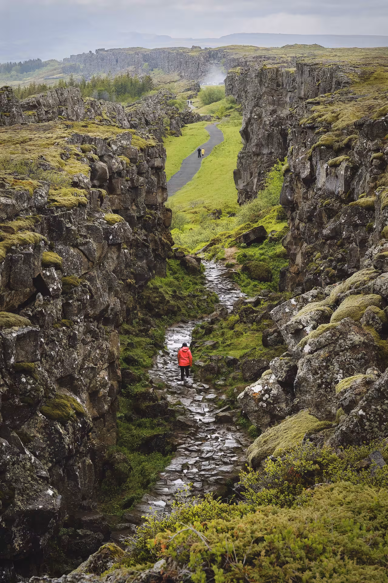 Hiker in red jacket walking through Þingvellir canyon rift valley on Iceland Golden Circle tour