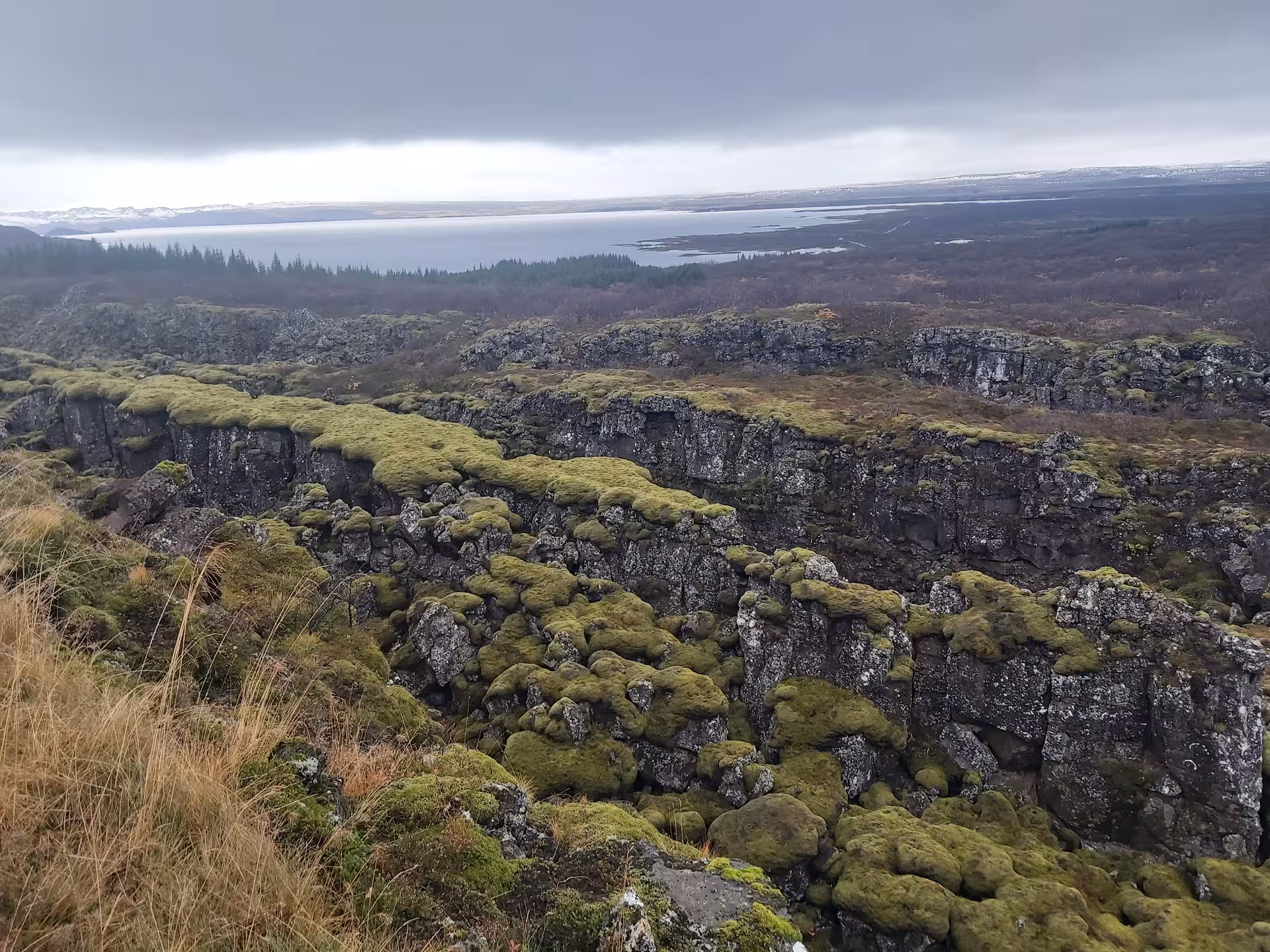 Moss-covered lava rock fissures at Þingvellir with Lake Þingvallavatn in the background, Iceland