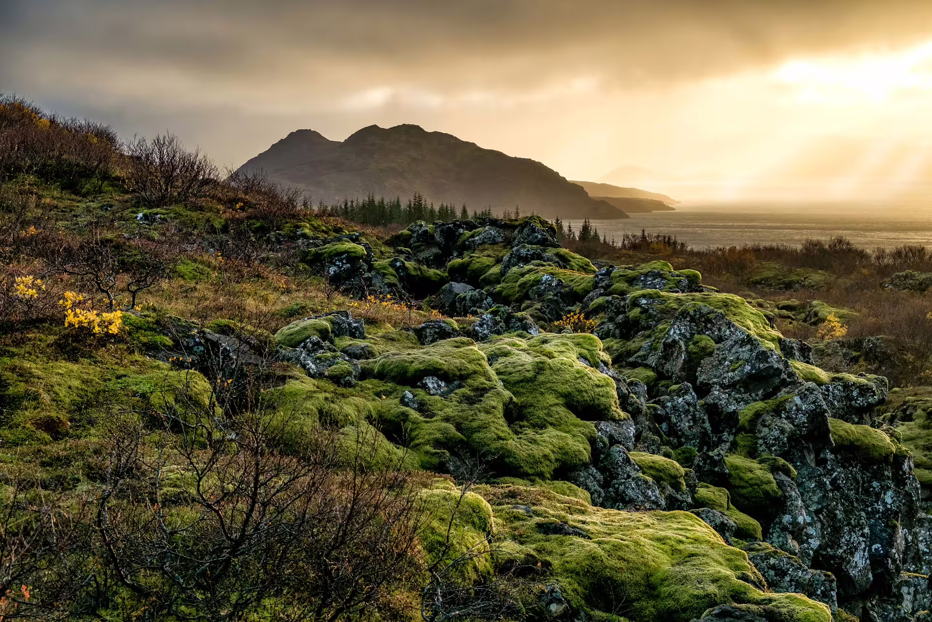 Thingvellir National Park