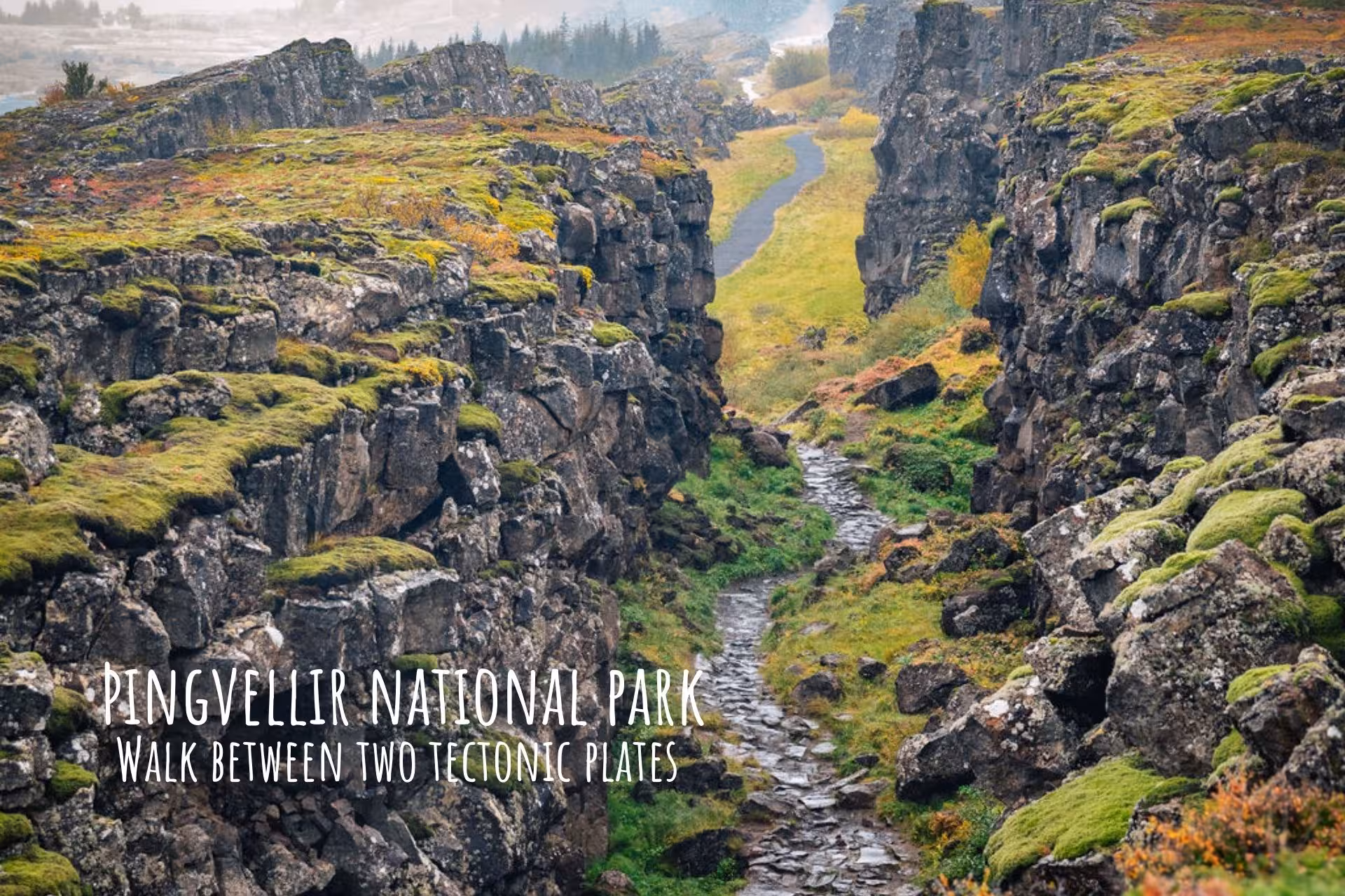 Rocky canyon path through tectonic plates at Þingvellir National Park, Iceland, with mossy lava walls