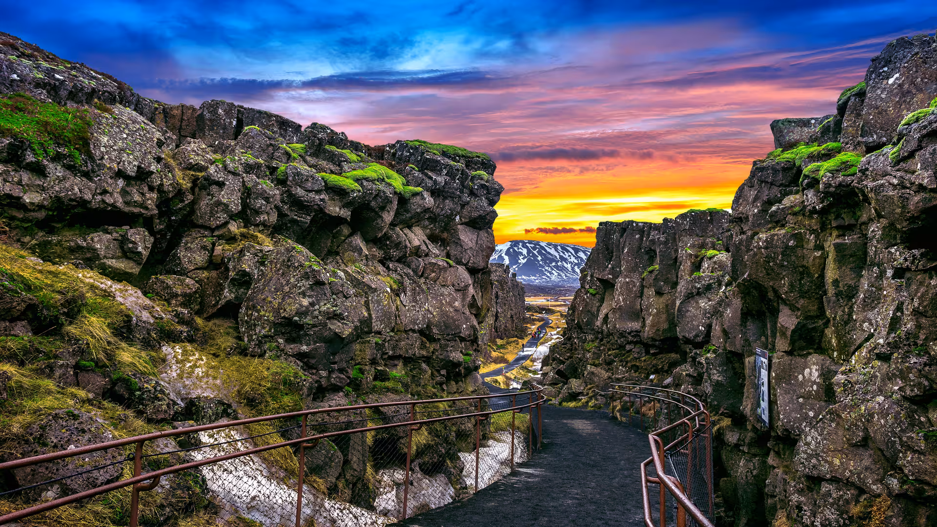 Þingvellir rift valley canyon with moss-covered rocks, staircase walkway, and vibrant sunset sky in Iceland