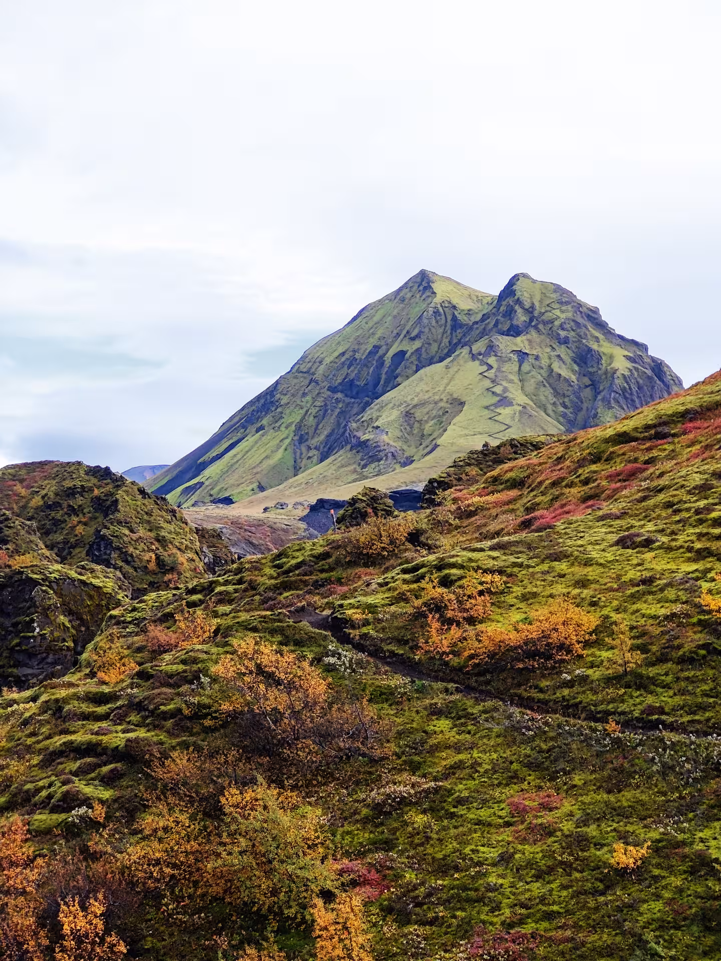 Green moss-covered mountain peak in Thorsmork with colorful autumn foliage in South Iceland