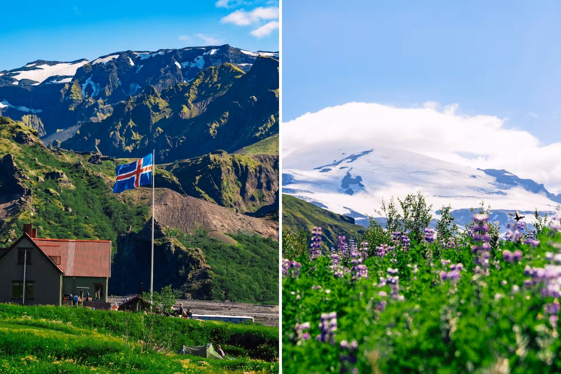 Icelandic flag and mountain hut in green Thorsmork valley with snow-capped peaks and purple lupine flowers