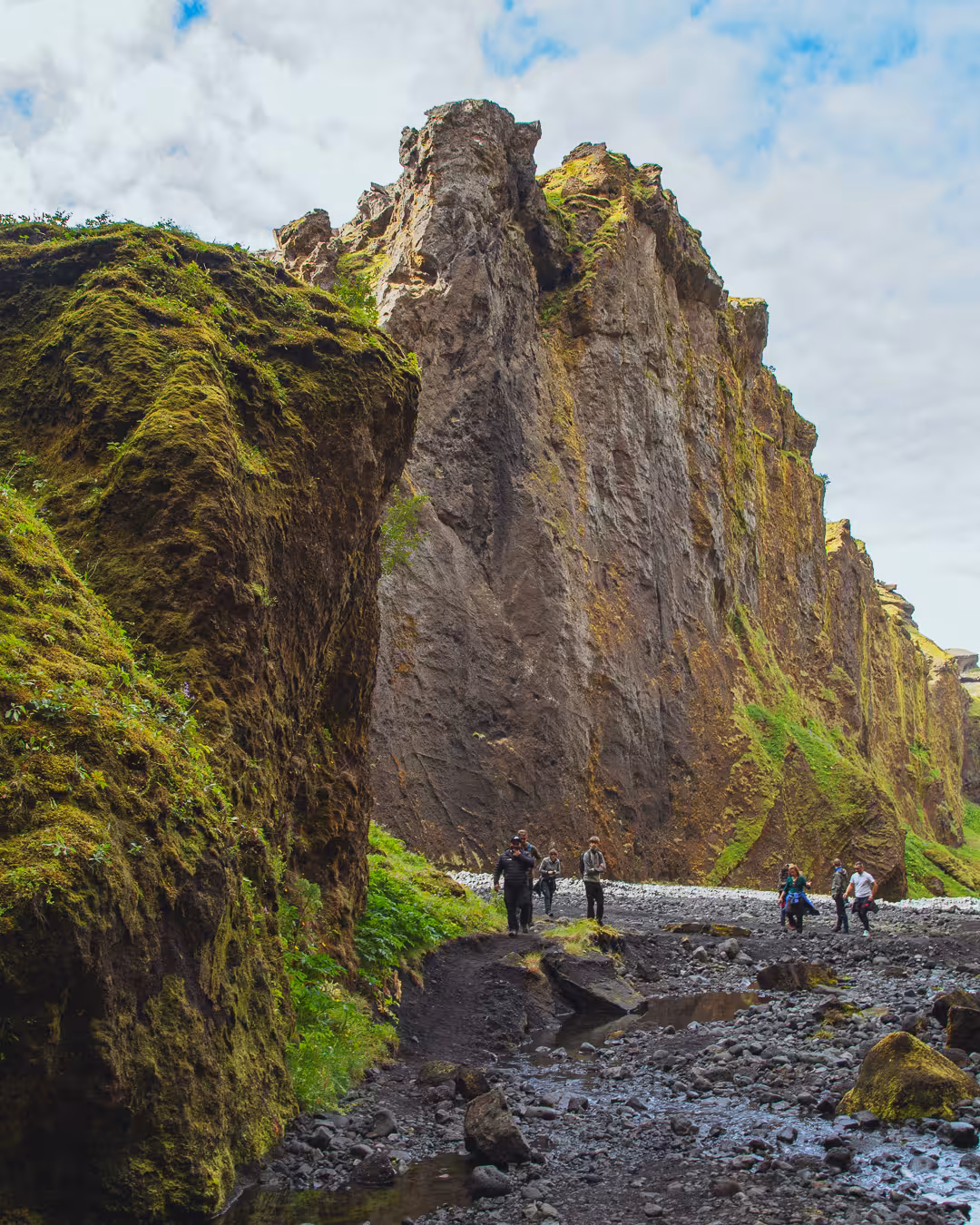 Hikers walking through a mossy canyon with towering volcanic cliffs in Thorsmork, Iceland