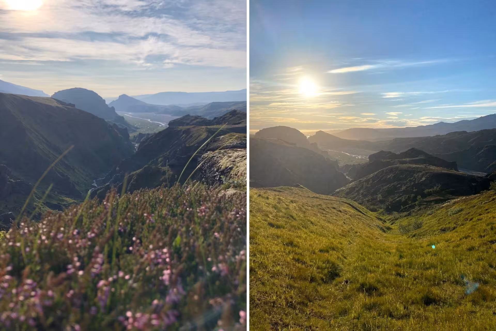 Panoramic views of Thorsmork valley with wildflowers and green hills glowing under the midnight sun, Iceland