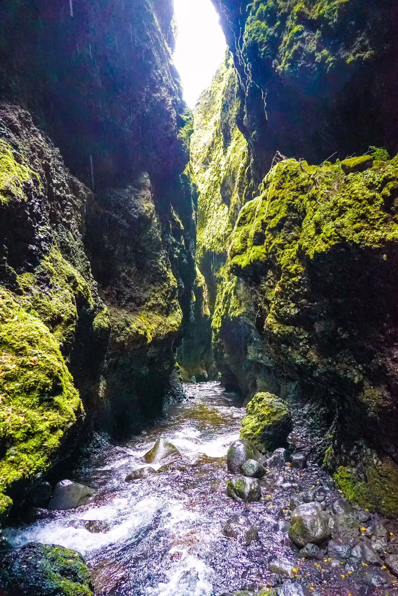 Narrow moss-covered gorge with rushing stream in Thorsmork Valley Iceland explored on an adventurous 4x4 day tour from Reykjavik