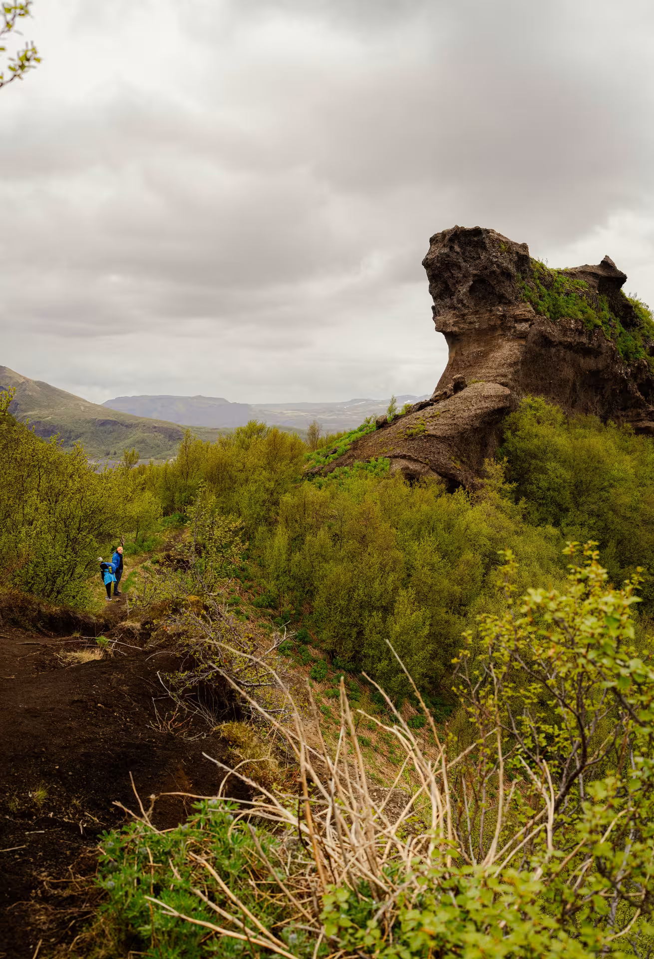Hikers on trail beside dramatic volcanic rock formation in Thorsmork Iceland lush green landscape